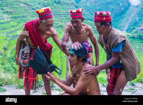 Ifugao tribe hi-res stock photography and images - Alamy