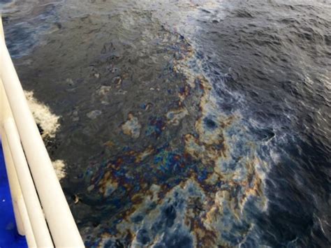 PCG: Mindoro oil spill affects some protected marine areas | Inquirer News