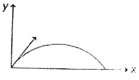 For projectile motion, which of the following graphs is/are corrects.