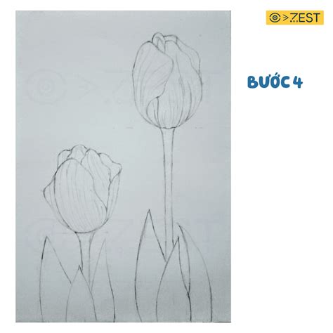 Dạy bé cách vẽ hoa Tulip vàng đơn giản - Zest Art