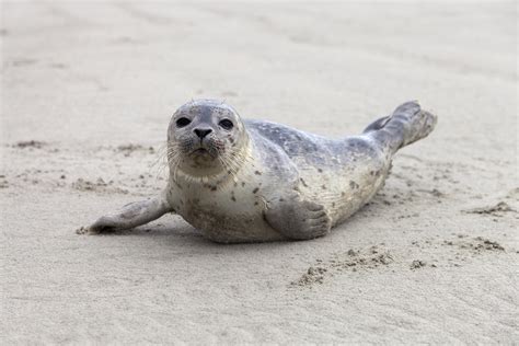 Nordsee - 16 Tipps für eine Reise an die deutsche Nordseeküste