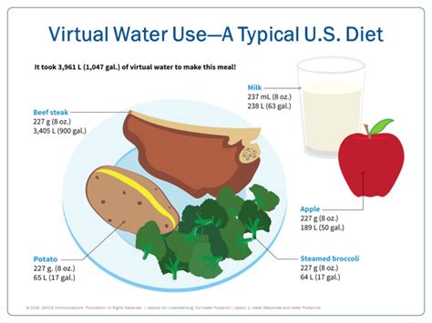 Beyond the Water Cycle: Teaching About Water Footprints