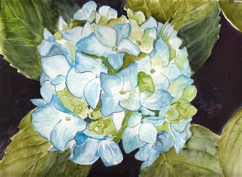 Bunny's Artwork: HYDRANGEA WATERCOLOR PAINTING