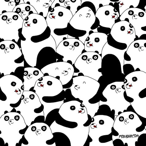 Panda-bear GIFs - Find & Share on GIPHY