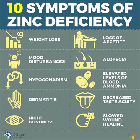 Zinc Health Benefits: Food And Supplements You Need To Know, 48% OFF