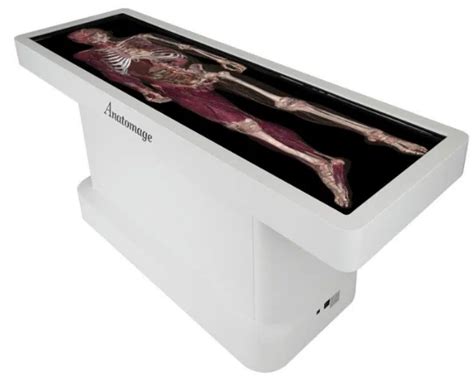 Anatomage Table for Anatomy Learning | New England - AET Labs