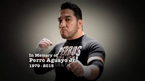 Lucha Underground: Tribute to Perro Aguayo Jr. - YouTube