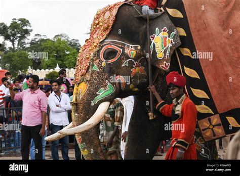 Decorated elephants at Mysore Dussehra celebration or Dasara festival ...