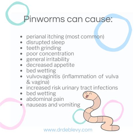 Pinworms In Humans