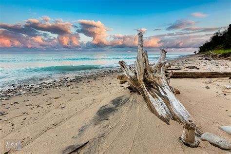 Driftwood Sunrise | CSA Beach on Lake Michigan, Pilgrim, Michigan ...