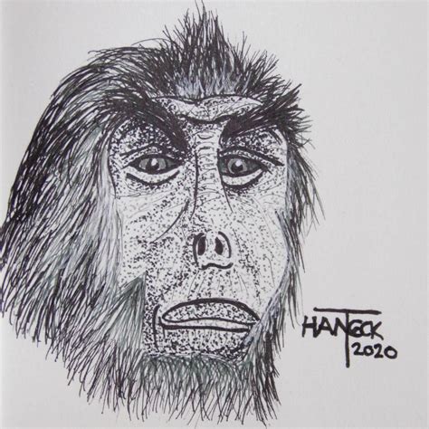 Pig-tailed Langur Sketch by TraceyHancockArt on DeviantArt