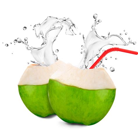 Coconut Water Product Development | Organico Beverages