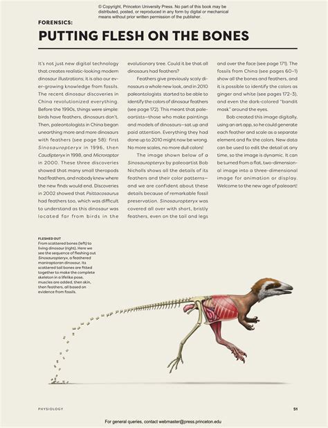 Dinosaur Behavior | Princeton University Press