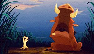 Panicking Pumbaa And Timon GIF | GIFDB.com