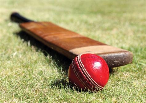 Cricket bat | sports | Britannica