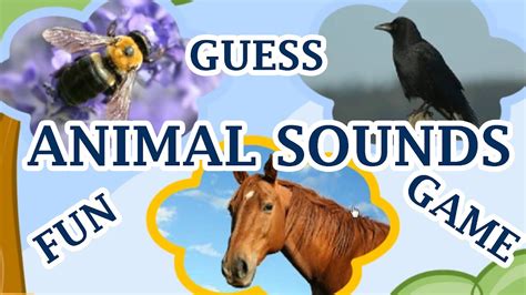 Animal Sounds, Guess The Animal By The Sound, A Fun Game For Kids - YouTube