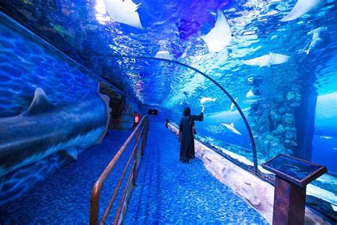 2023 Dubai Aquarium and Underwater Zoo Admission Ticket