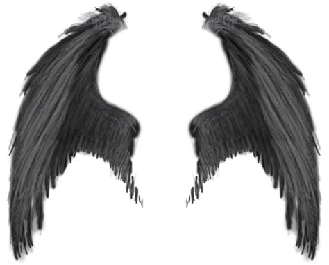 Black Wings PNG Image | รอยสัก, ปีกนางฟ้า, ปีก