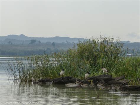 Gliding across Lake Tana in search of hippos and monasteries - Thirdeyemom