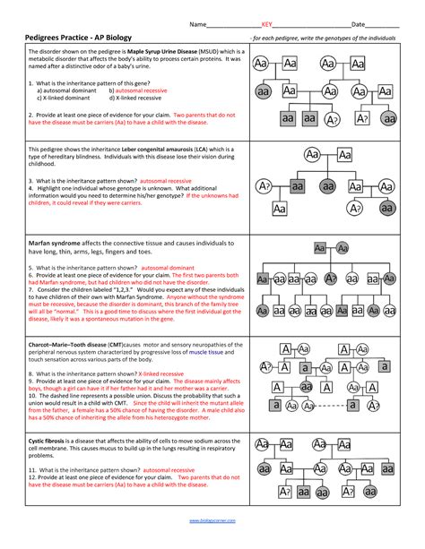 Genetic Chart Worksheet Key