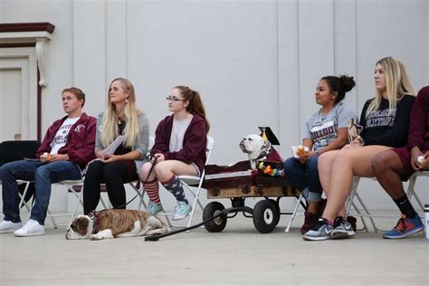 Beloved Dog Mascot Gets Own Graduation Ceremony After Cancer Diagnosis ...