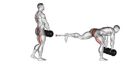 Dumbbell Single Leg Deadlift - Home Gym Review