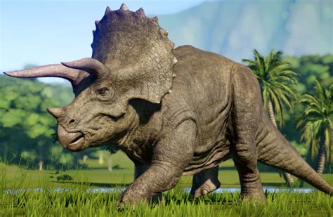 Triceratops | Dinosaurios, Fotos de dinosaurios, Animales de la prehistoria