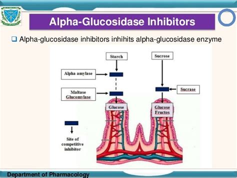 Pre diabetes in toddlers, alpha-glucosidase inhibitors pharmacokinetics