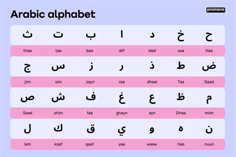 Basic Arabic Alphabet | Kids Matttroy