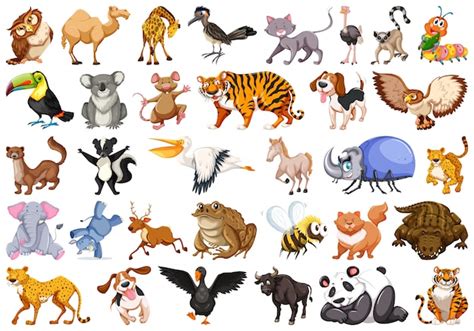 Vecteurs et illustrations de Animaux en téléchargement gratuit | Freepik