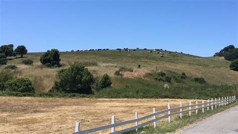 Point Reyes Station - Marin County, California - Around Guides