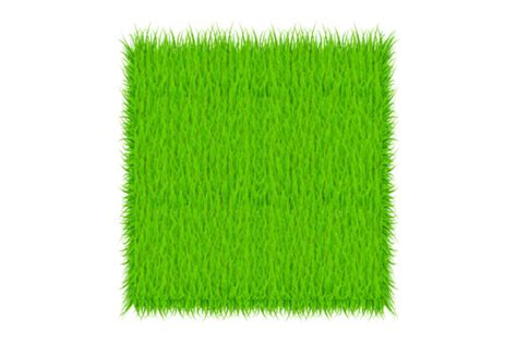 Circle with Grass, Green Grass Backgroun Graphic by DG-Studio ...