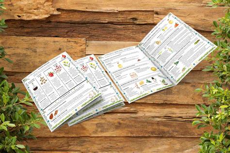 Recipe Cards - Herb Synergies – Ancient Remedies