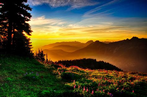 Windows 10 Nature Wallpaper 4k Free Download : Wallpapersafari ...