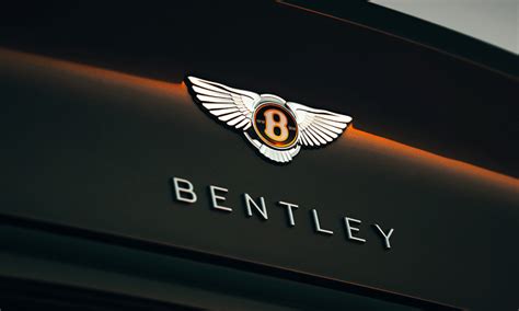 Bentley Logo Design – History, Meaning and Evolution | Turbologo