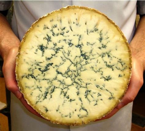 Blue Stilton: How It's Made And What Are The Best English Blue Cheeses