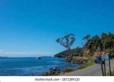 Oban New Zealand November 3 2020 Stock Photo 1871389120 | Shutterstock