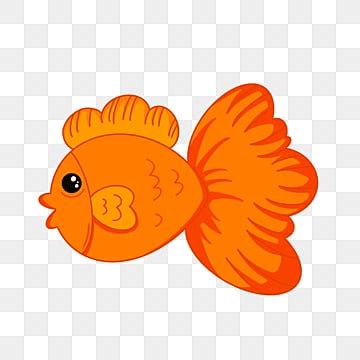 Orange Fish Clipart Images | Free Download | PNG Transparent Background ...