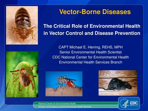 Vector Borne Disease Ppt