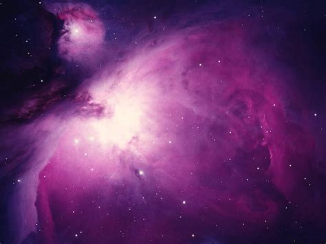 White Fox Backgrounds With High Resolution On Purple Galaxy, tumblr ...