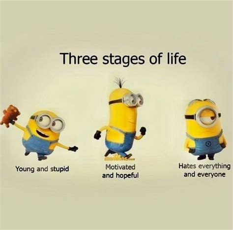 Minions | Minion jokes, Minions funny, Funny minion quotes