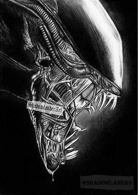 Alien xenomorph Drawing ART PRINT - Etsy