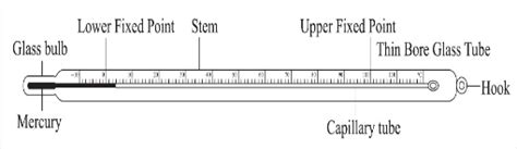 Draw a neat and labelled diagram of a laboratory thermometer - Home ...