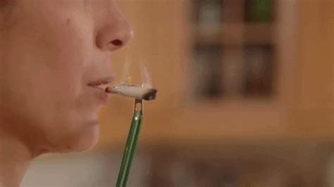 Weed Toke Buddy Cannabis Marijuana Funny GIFs - Find & Share on GIPHY