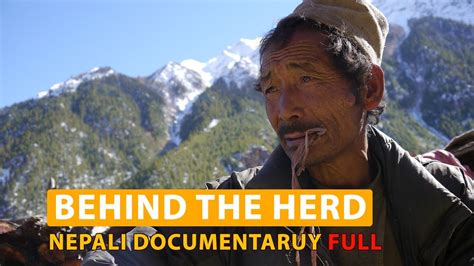 Full Nepali Documentary 'Behind The Herd' an epic story form Karnali ...