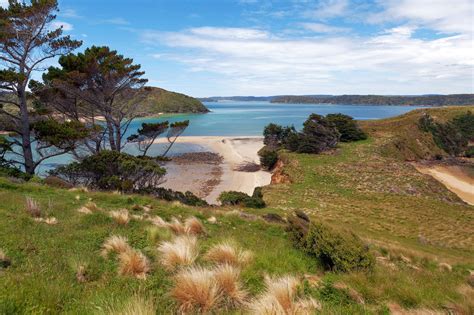 The Complete Guide to New Zealand's Stewart Island