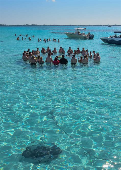 Photo of the Day - Stingray City Grand Cayman | Round the World in 30 Days