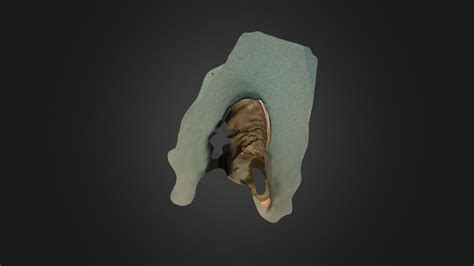 Shoe Scan - 3D model by josephcollis [4e7ecbc] - Sketchfab