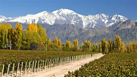 Top 5 Things to Do in Mendoza, Argentina - David's Been Here