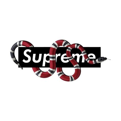 supreme logo - Google Search